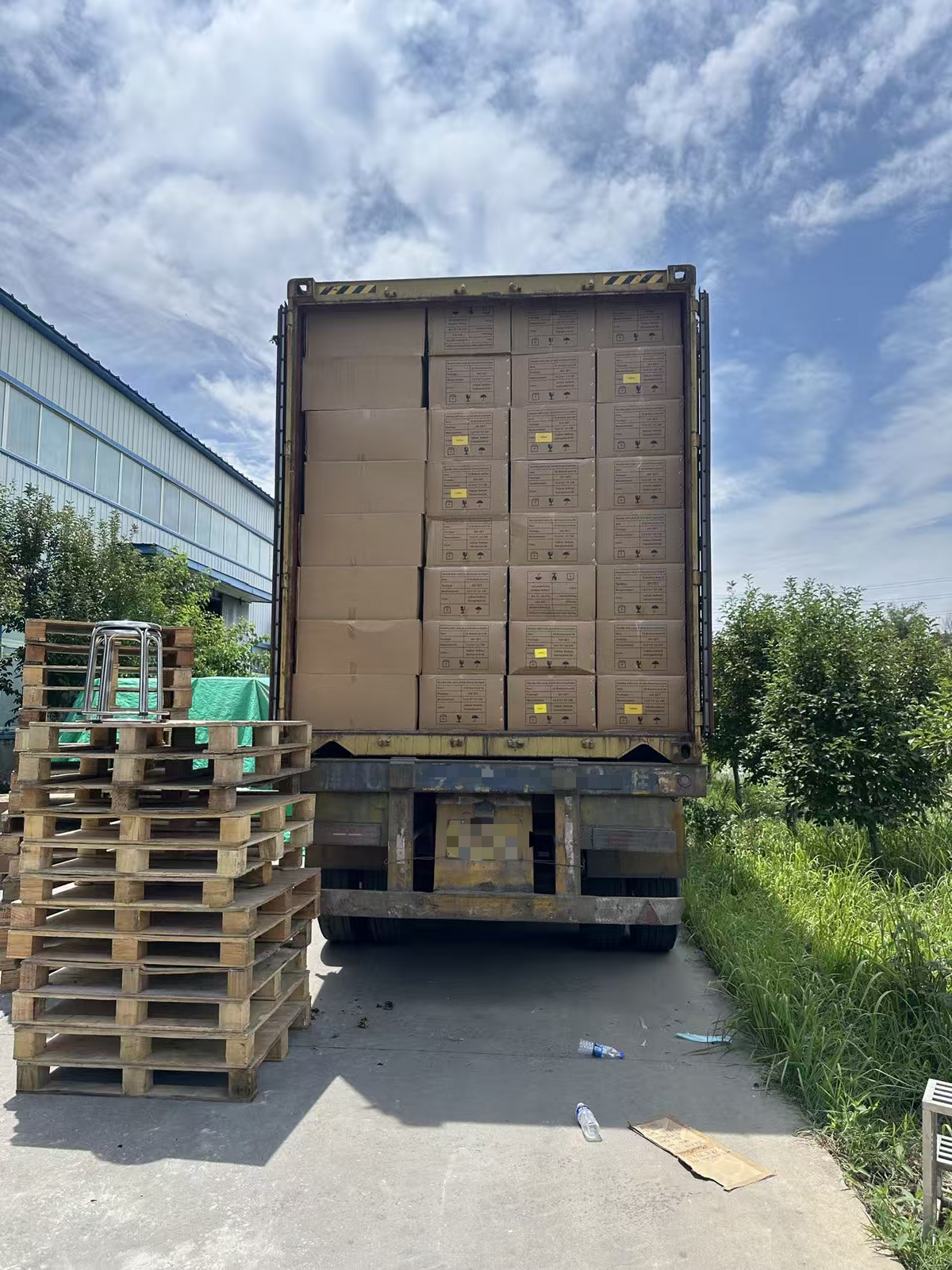 PET egg trays container loading at China egg tray factory