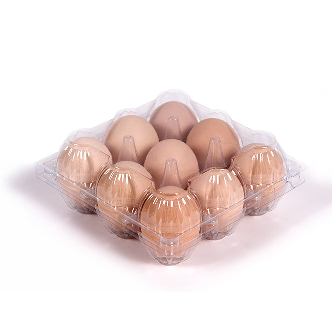 9-Egg Plastic Cartons