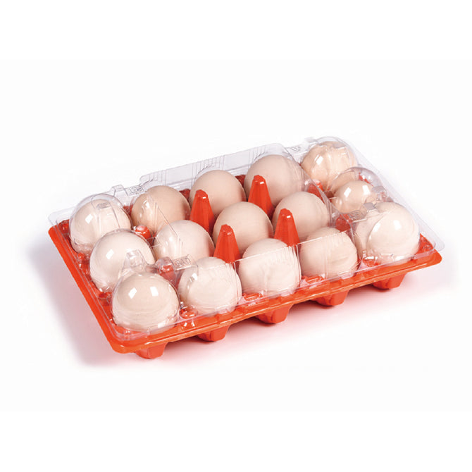 15 medium-sized orange egg holders