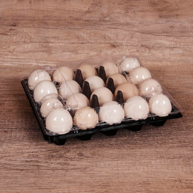 20 medium-sized black egg trays