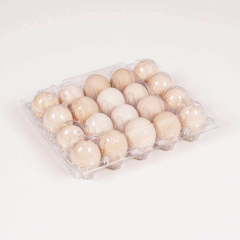 20 medium-sized transparent egg trays