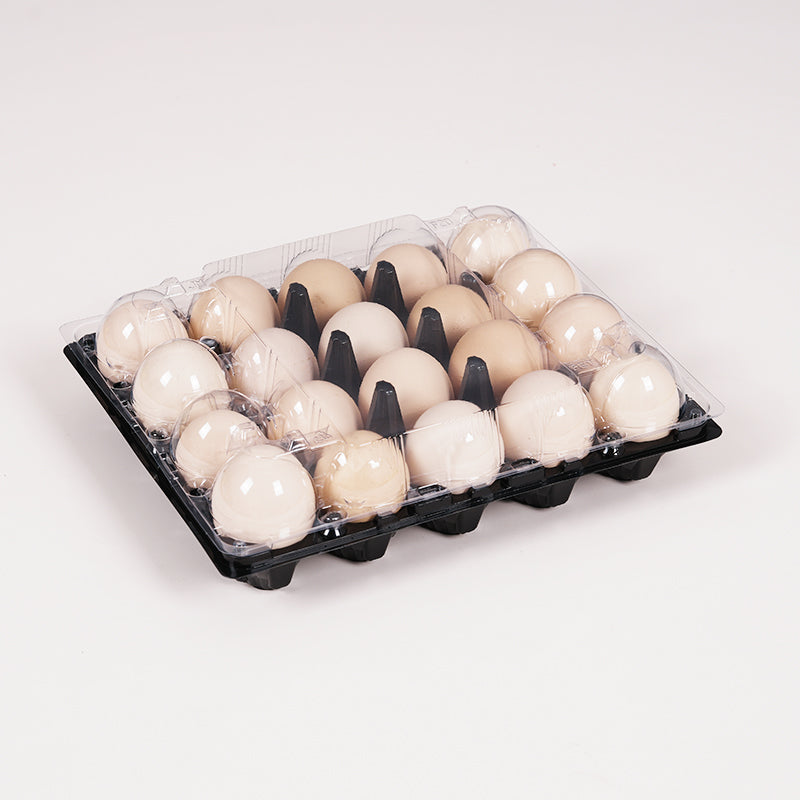 20 medium-sized black egg trays