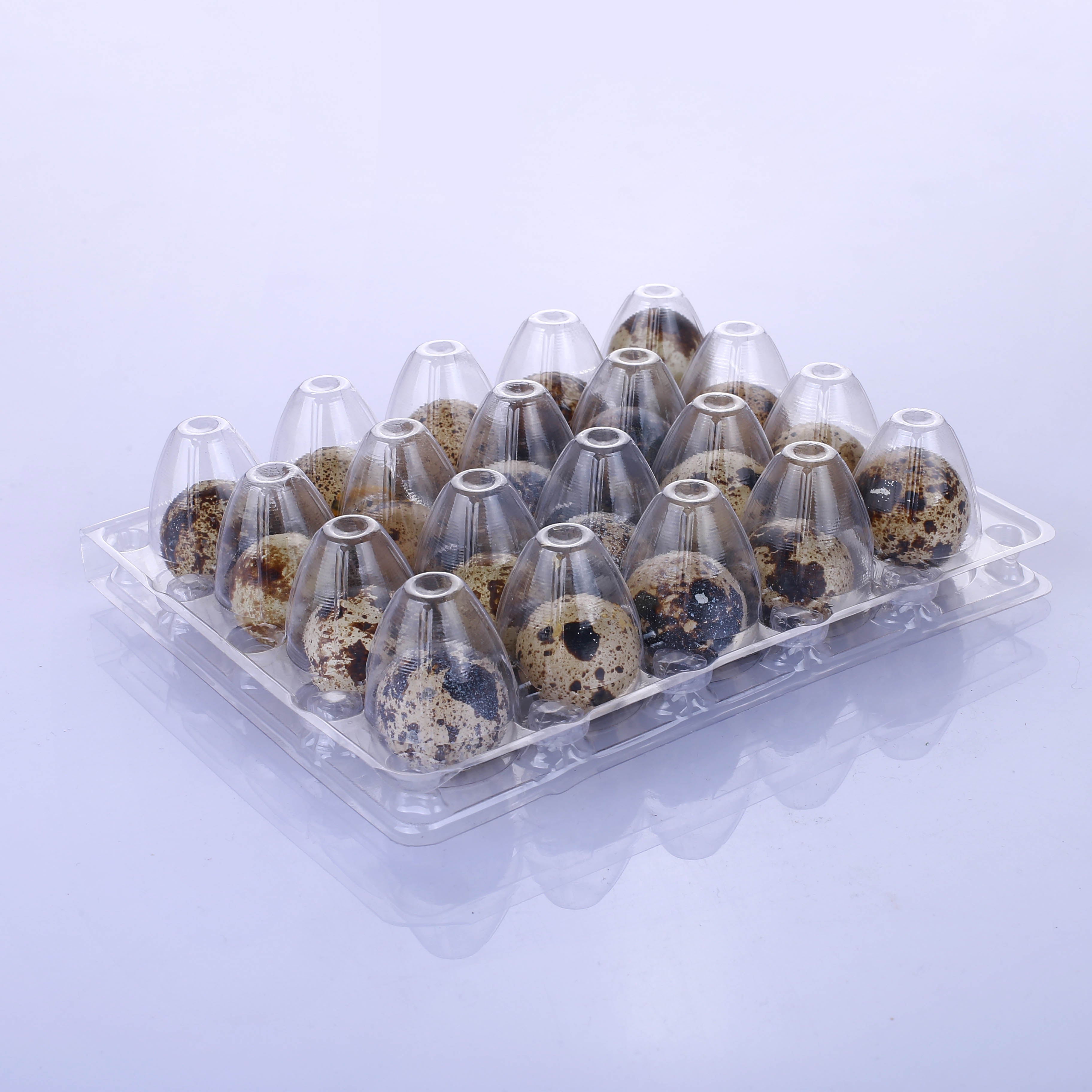 30-Hole Plastic Quail Egg Cartons