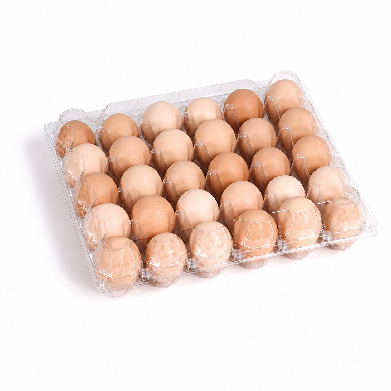 Transparent 30Egg Plastic Egg Tray