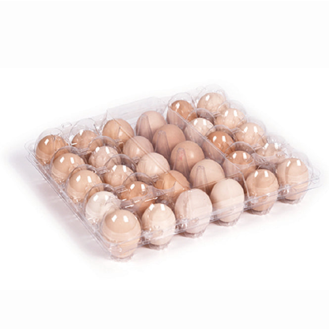 30 large transparent egg trays