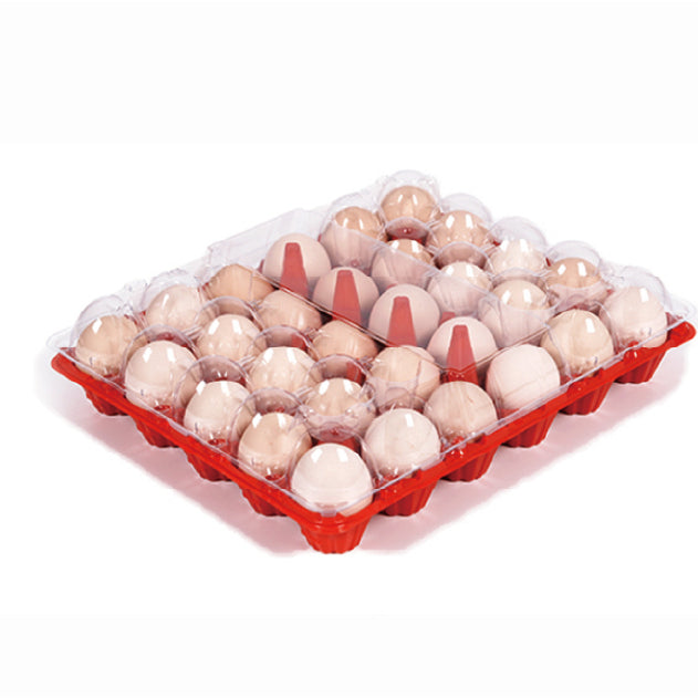 30 large red egg trays