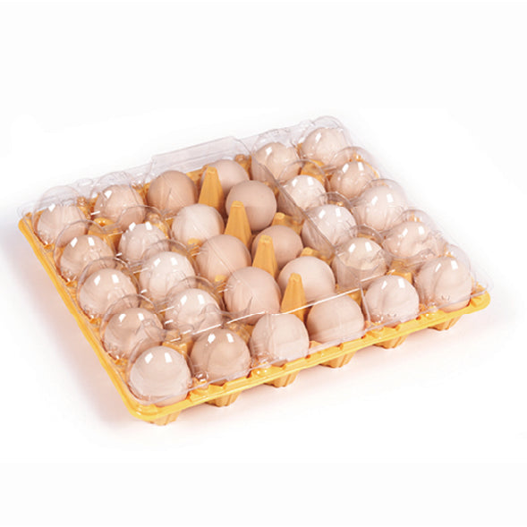 30 large yellow egg trays