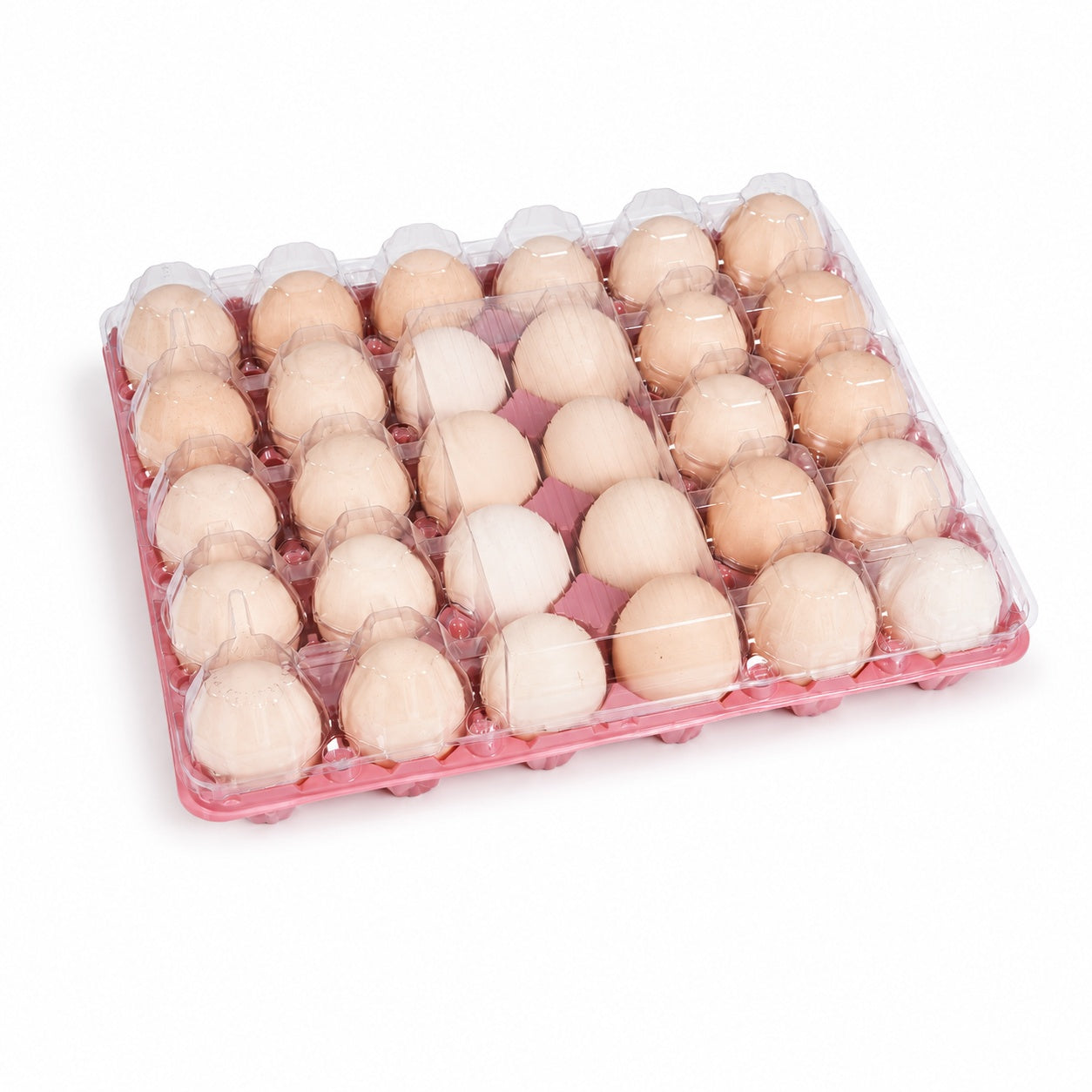 30 colored egg trays