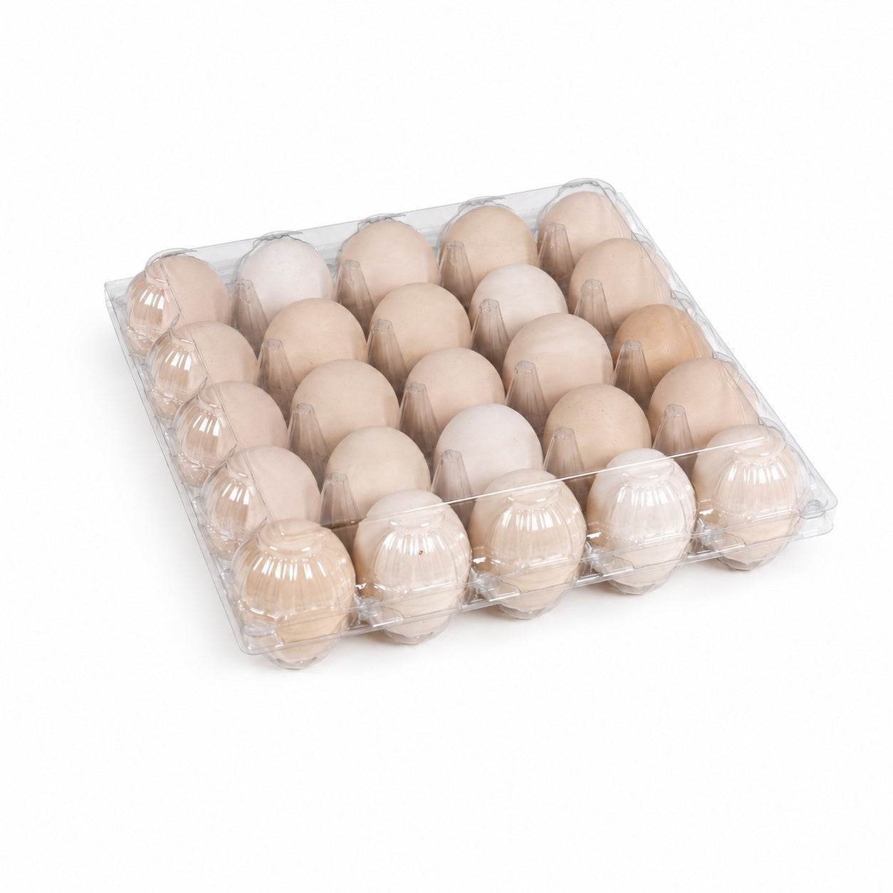 Transparent 25 Egg Plastic Egg Tray