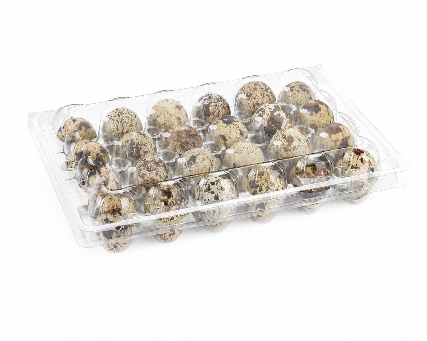 24 plastic quail egg trays