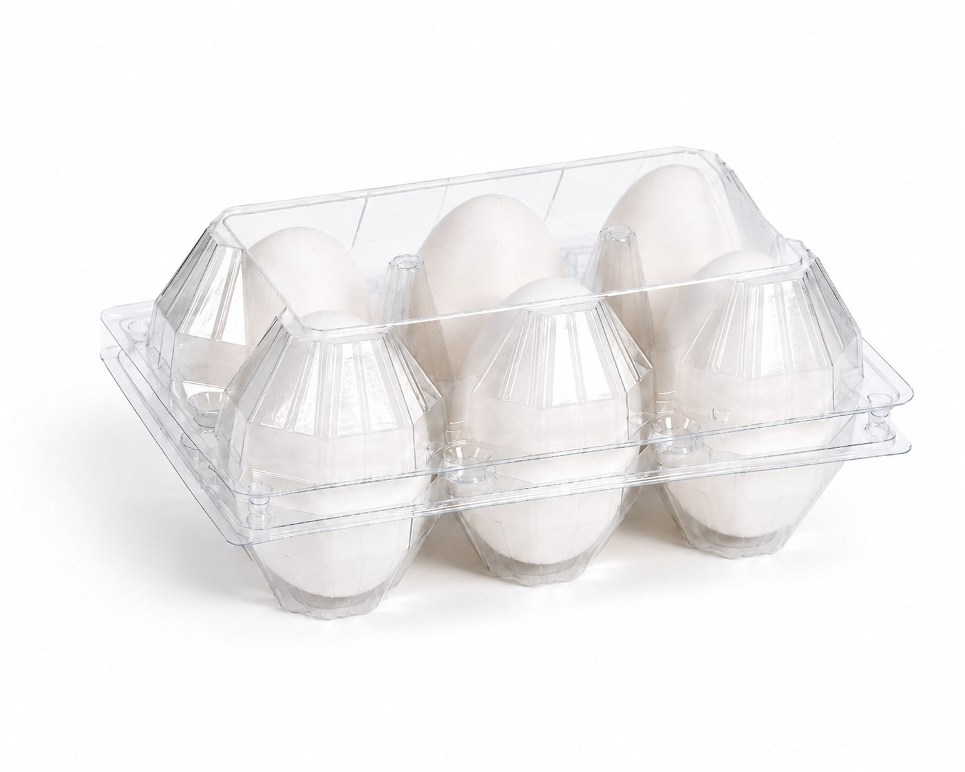 6-Cavity Plastic Goose Egg Tray – OEM & Wholesale Supply