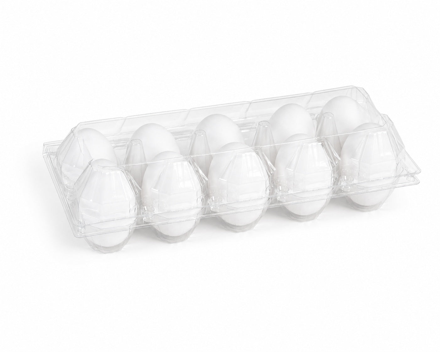 10-Cavity Plastic Goose Egg Tray – OEM & Wholesale Supply