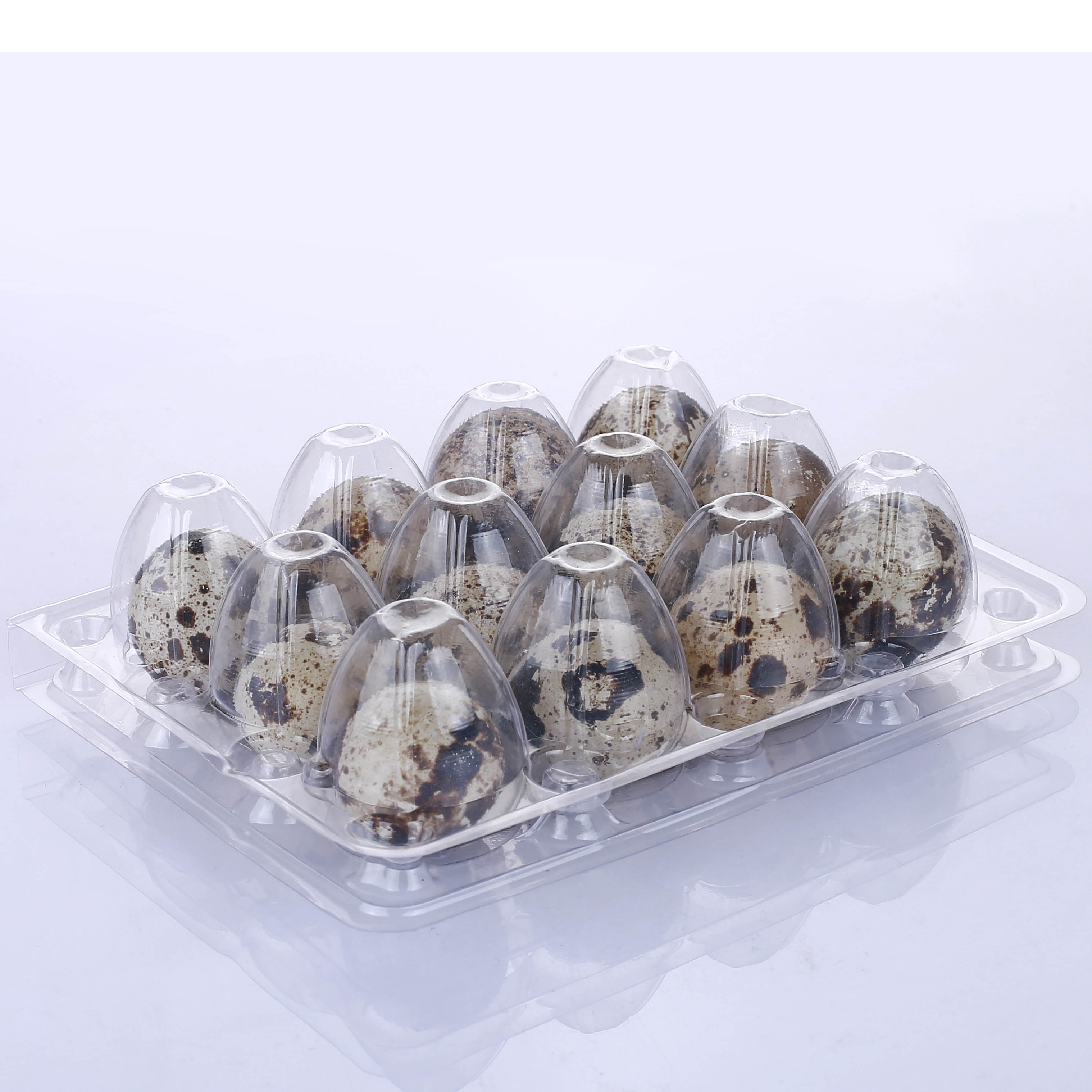 12-Hole Plastic Quail Egg Cartons