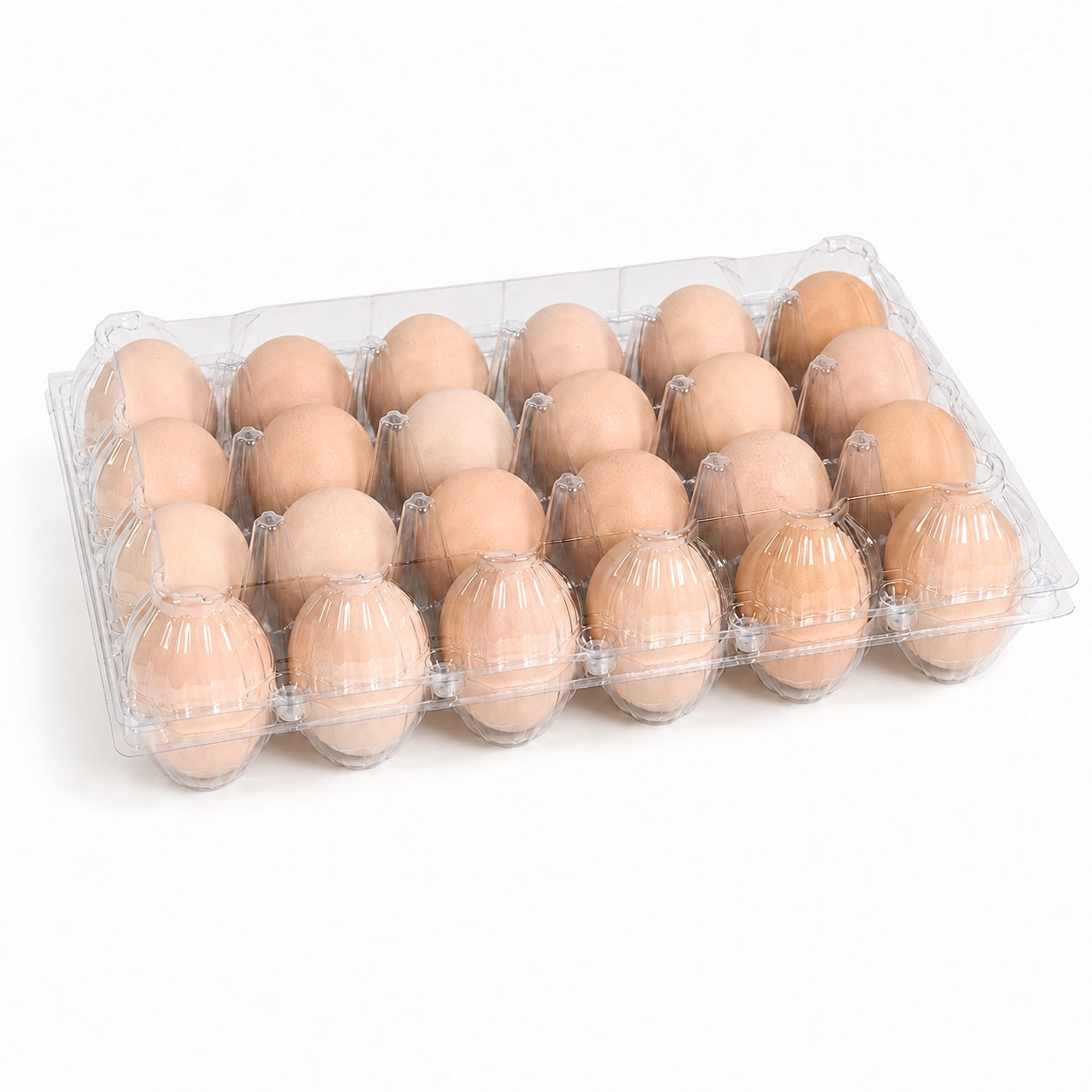 Transparent 24 egg plastic egg tray for wholesale egg packaging