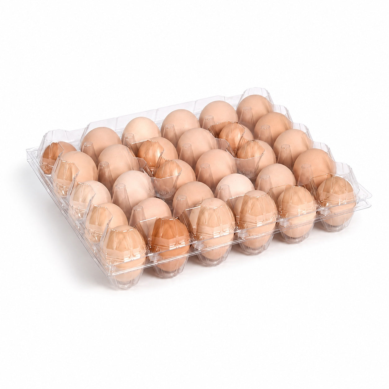 30 Egg Trays