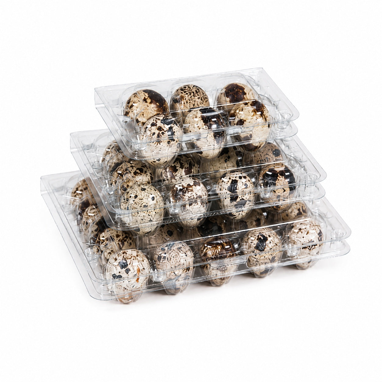Quail Egg Trays