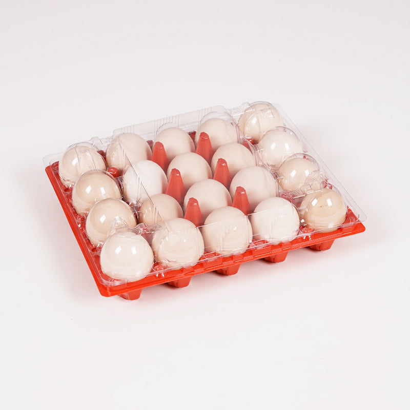 20 medium-sized orange red egg trays