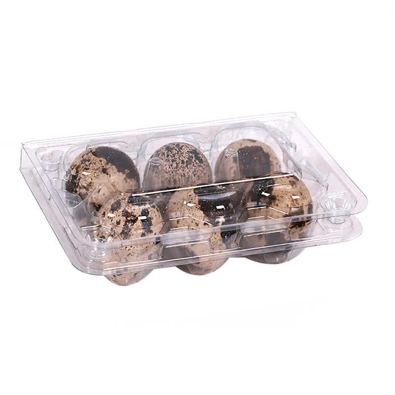6-Hole Plastic Quail Egg Cartons