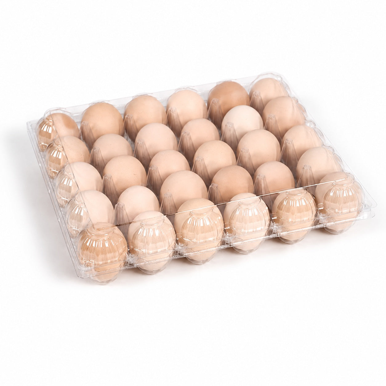 Transparent30Egg Plastic Egg Tray