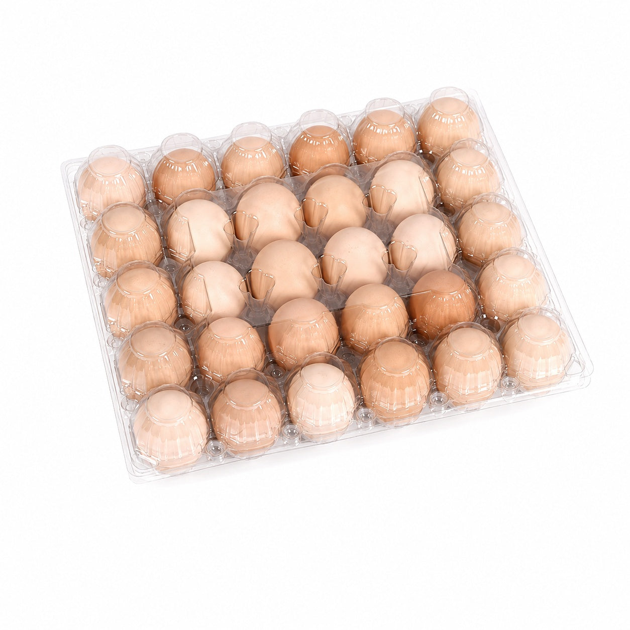Transparent 30Egg Plastic Egg Tray