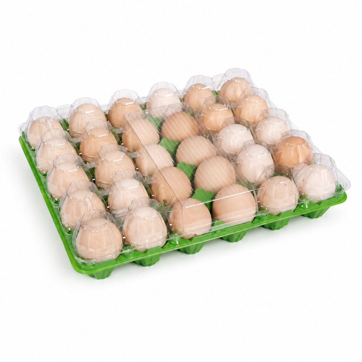 30 colored egg trays