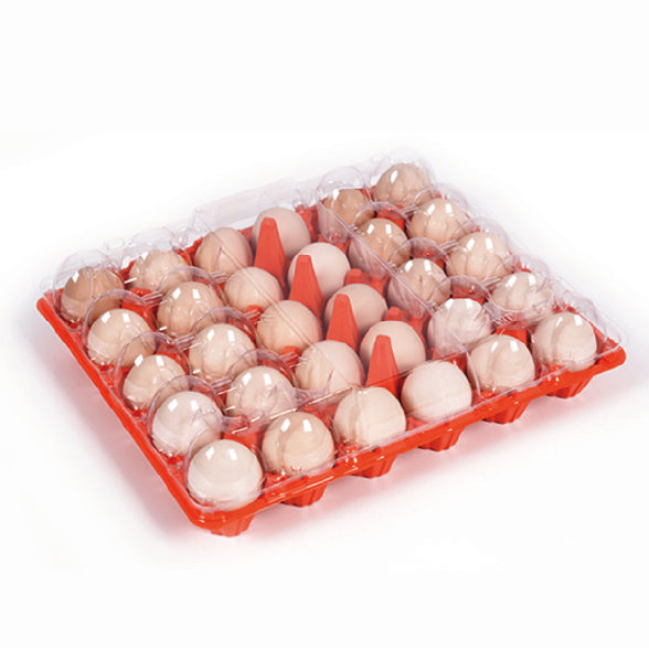 30 large orange red egg trays
