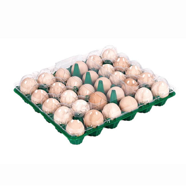 30 medium-sized green egg trays