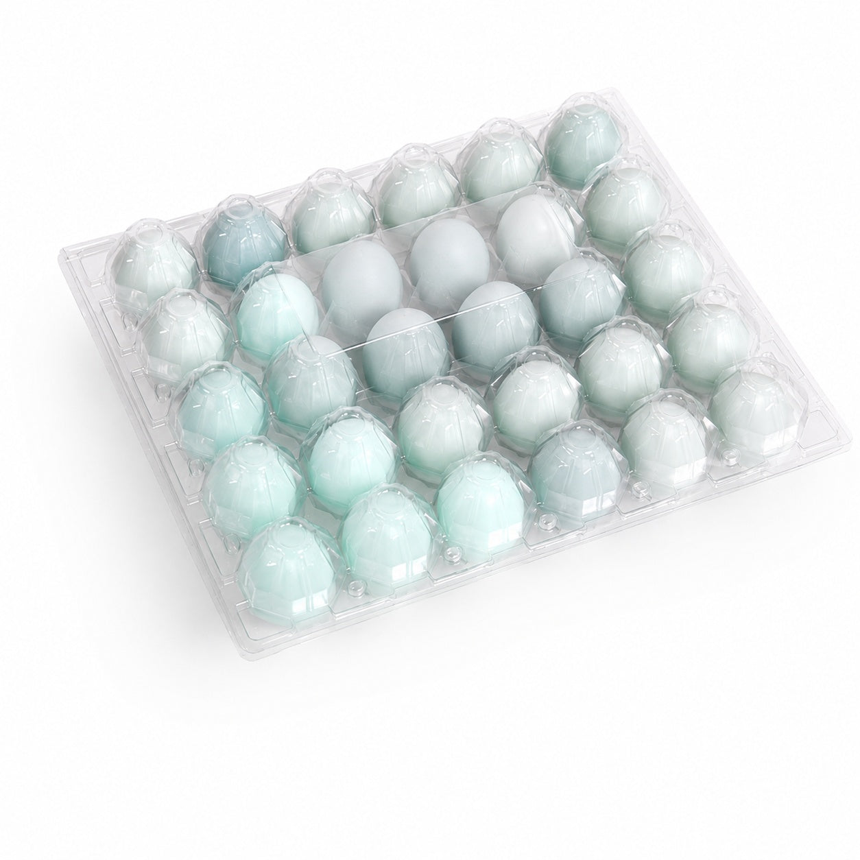 Transparent 30 Egg Plastic Egg Tray