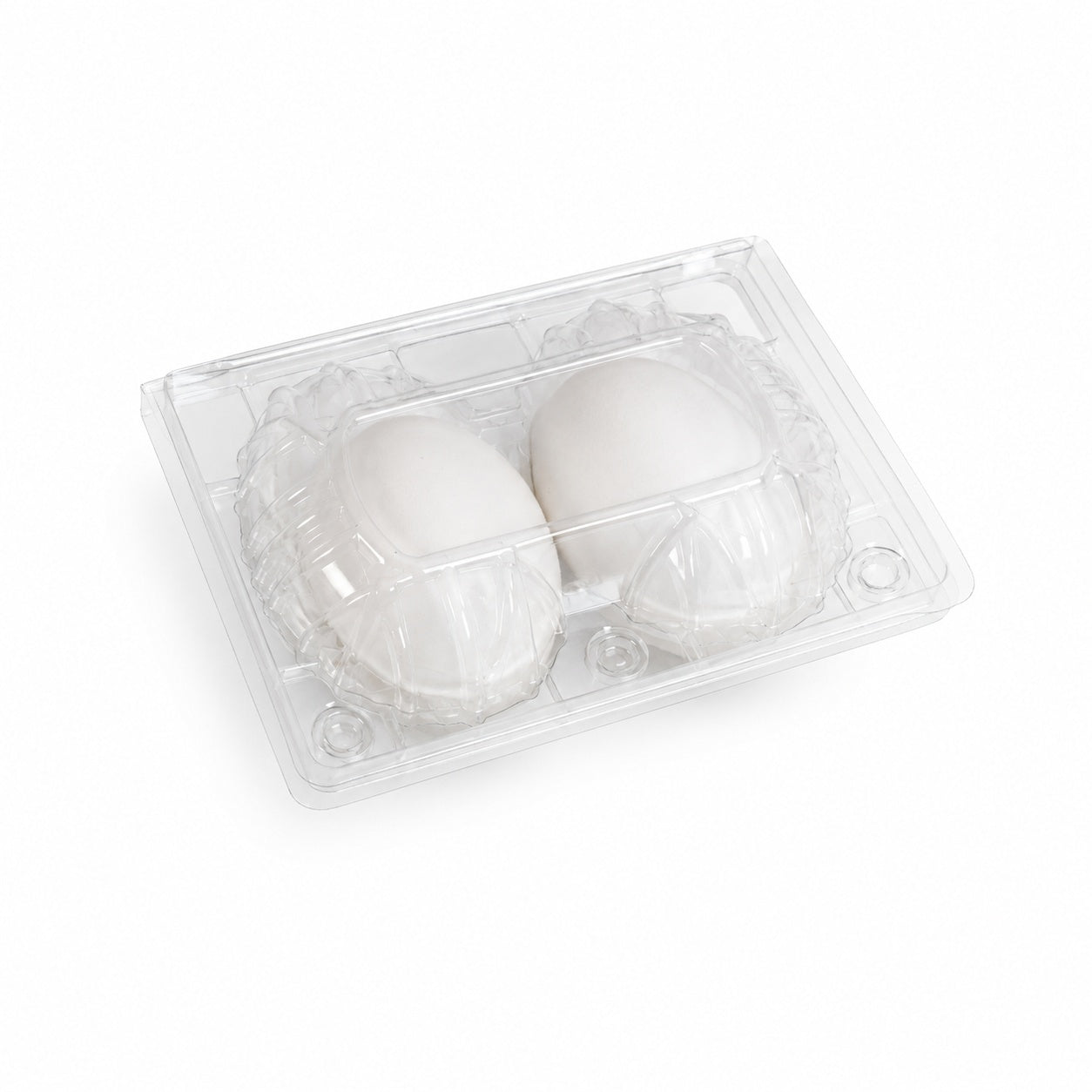 2-Cavity Plastic Goose Egg Tray – OEM & Wholesale Supply