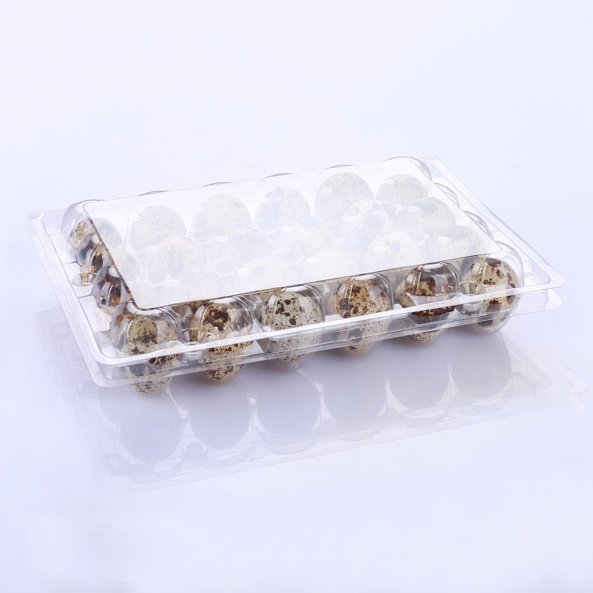 24 plastic quail egg trays