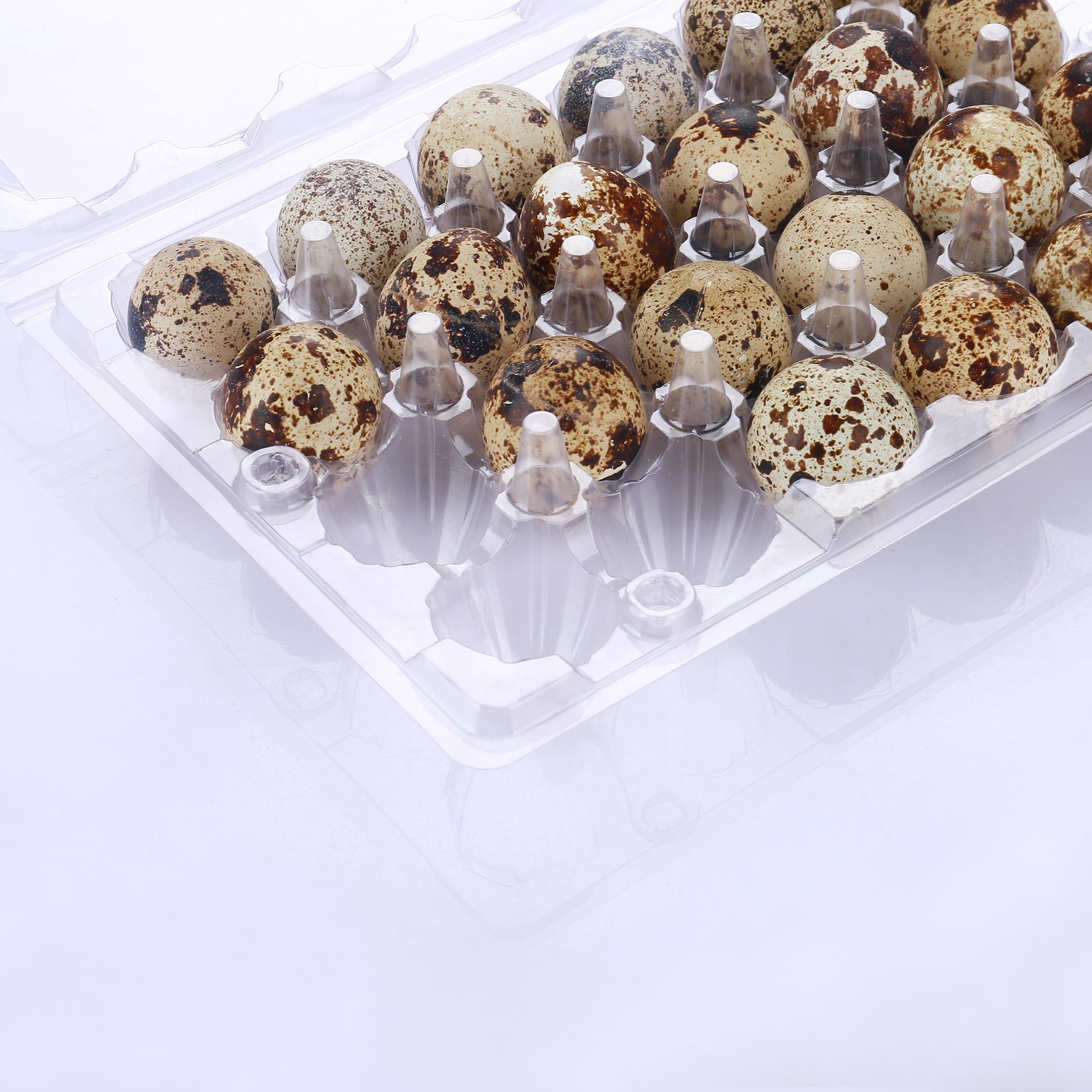 24 plastic quail egg trays