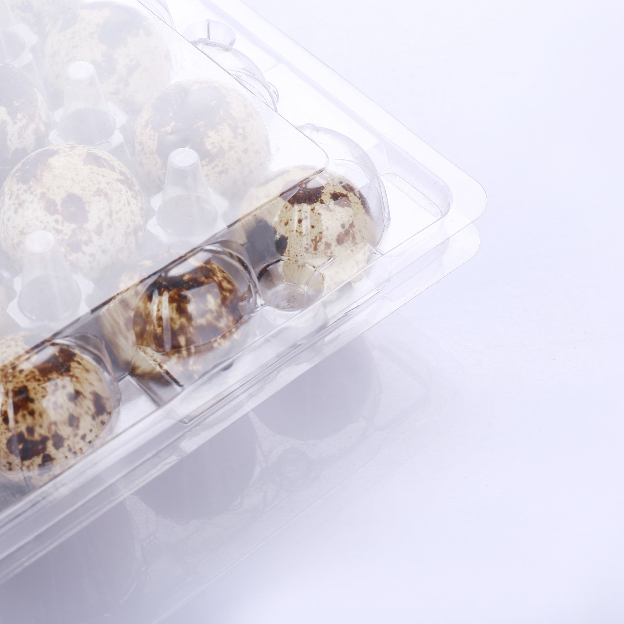 24 plastic quail egg trays